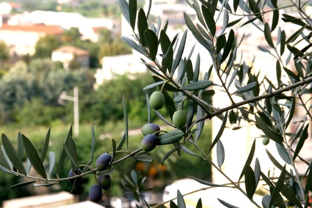 M Suites Sorrento Bagian luar foto